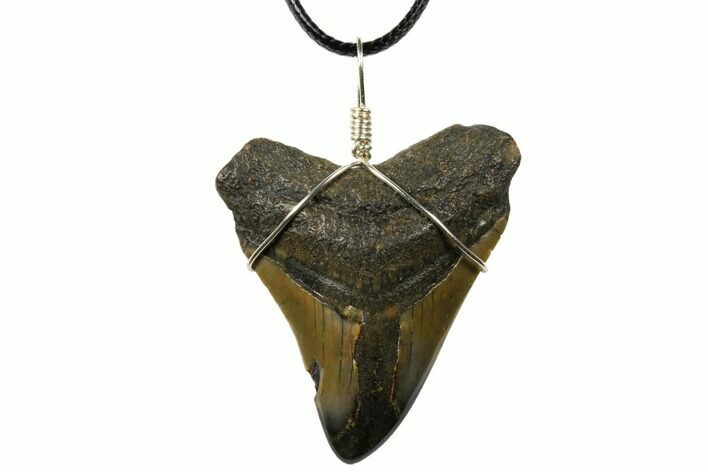 Fossil Megalodon Tooth Necklace #130986